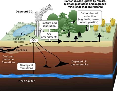 Carbon capture and storage — reality or still a dream?