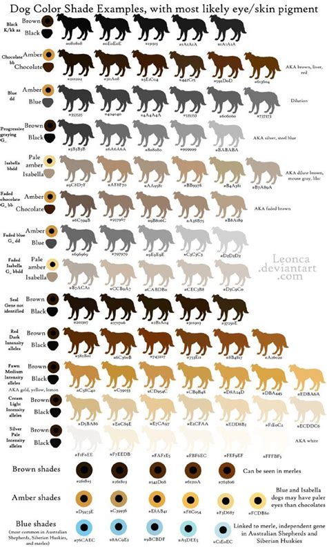 french bulldog color chart breeding