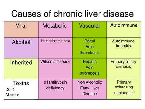 PPT - Chronic liver disease Cirrhosis hepatic Encephalopathy PowerPoint ...