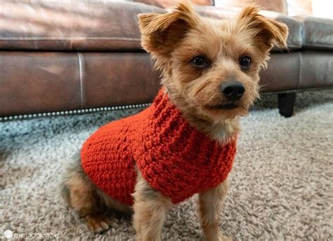 Dandy Dog Sweater: Easy Crochet Dog Sweater Pattern