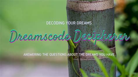 Dreamscode Decipherer - Decoding your dreams - Answering your dreams - Bamboo Dreams - YouTube