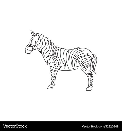 digital download Zebra One Line Drawing Pet Supplies Pet Portraits Urns ...