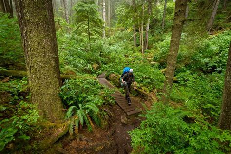 Hiking The West Coast Trail On Vancouver Island | Outdoor Vancouver