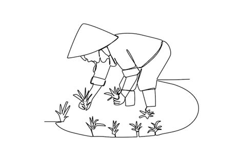 Premium Vector | Man planting rice drawing by simple continuous line farmer minimalist concept ...