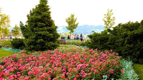 Bern Rose Garden in Bern, | Expedia