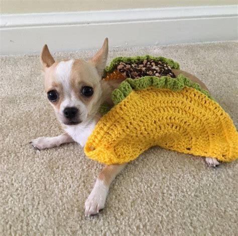 Taco Pet Costume, Taco Cat Costume, Taco Costume for Dogs, Taco Dog Costume, Halloween Pet ...