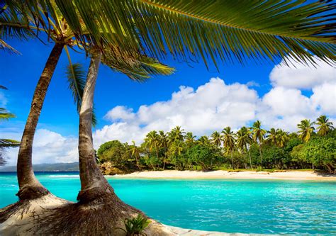 vacation, Beach, Summer, Tropical, Sea, Palms, Paradise, Ocean Wallpapers HD / Desktop and ...