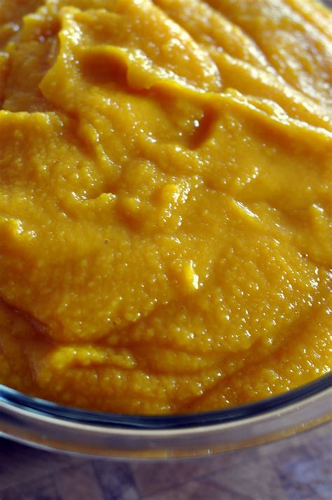 How To: Make and Freeze Homemade Baby Food {Butternut Squash Purée}