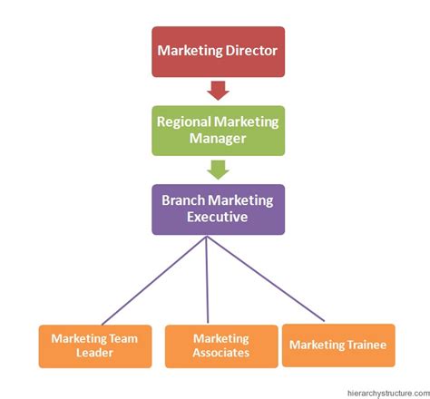 Marketing Department Jobs Titles Hierarchy | Hierarchy Structure