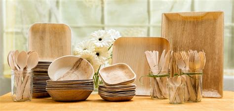 100% Biodegradable Tableware That Will Turn into Soil in 90 Days – Bioplastics News