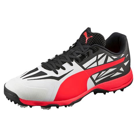 PUMA evoSPEED Spike 1.5 Men's Cricket Boots Cricket Low Boot Male New | eBay