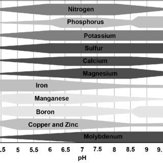 Relation of pH and nutrient availability in soil. | Download Scientific Diagram