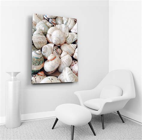 Beach Seashells Wall Art Sea Shells Painting Nautical Hotel | Etsy