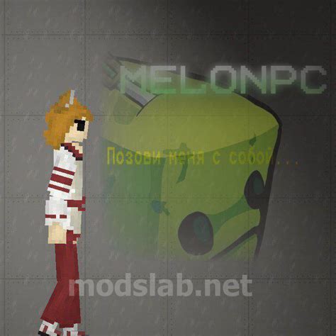 Download NPC Senko-san for Melon Playground