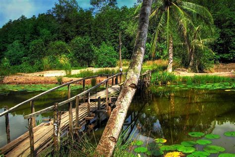 Pulau Ubin: Singapore's Island That Time Forgot