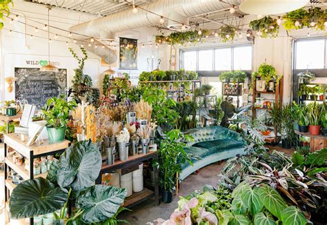 Where to Buy Plants in Tampa and St. Pete - Tampa Magazine