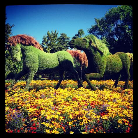 Cheyenne Botanic Gardens Labyrinth – Beautiful Flower Arrangements and ...