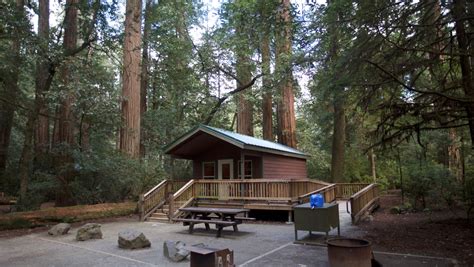 Redwood National Park hosts beautiful cabins to rent at a great price