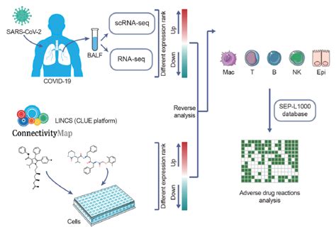 Workflow of drug repurposing for treating different durations of ...