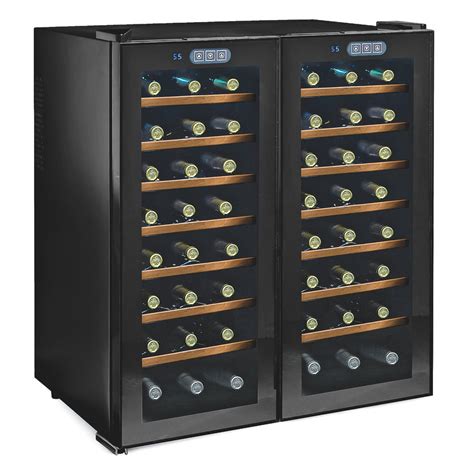 Wine Enthusiast 48-Bottle Glass Dual Zone Cooling Wine Chiller at Lowes.com