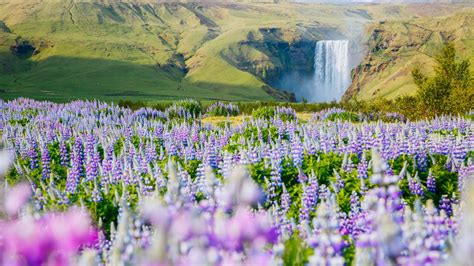 5 Day South Iceland Self-Drive Tour | Iceland Tours