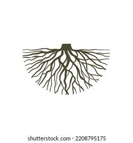 Roots Isolated Vector Stock Illustration Stock Vector (Royalty Free) 2208795175 | Shutterstock