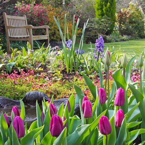 Plants - Highdown Garden Centre