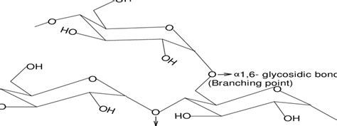 2 Structure of Amylopectin | Download Scientific Diagram