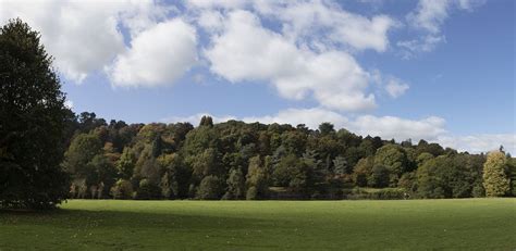 Winkworth Arboretum. | Arboretum, Places of interest, United kingdom