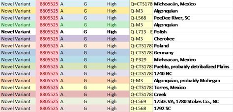 Big Y DNA Results Divide and Unite Haplogroup Q Native Americans | DNAeXplained – Genetic Genealogy