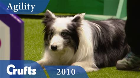 Agility - British Open 2010 | Crufts Dog Show - YouTube