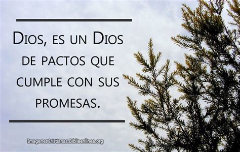 Dios de pactos imagenes cristianas | Quotes, Lettering, Letter board