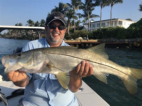 Snook Fishing in Florida - iOutdoor Fishing Adventures