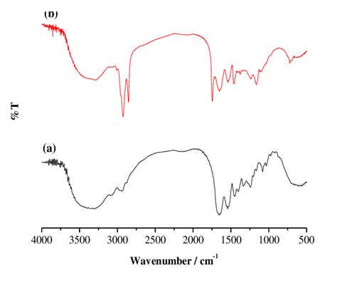 FTIR spectra of bovine gelatin (a) and porcine gelatin (b). | Download ...