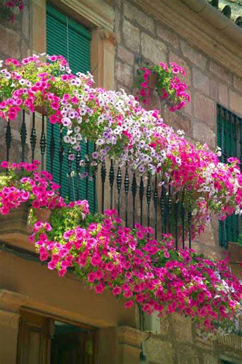 Top 23 Spectacular Balcony Gardens That You Must See - WooHome