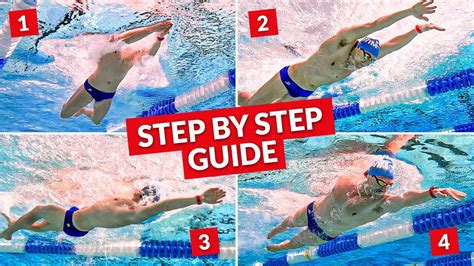 How to Swim All Four Strokes – FastestWellness