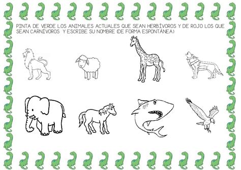 Dibujos De Animales Carnivoros Herbivoros Y Omnivoros Para Colorear ...