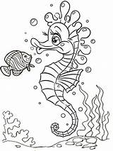 13 Fun Original And Cartoon Baby Seahorse Coloring Pages  sketch template