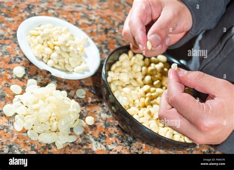 Closeup peeling, before and after bowls with lupini beans superfood, part of legum family ...