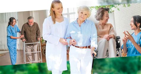 Top Mobility Aids for Seniors Across Any Setting