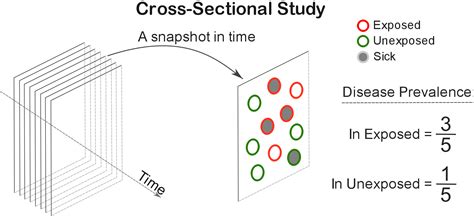 Cohort vs Cross-Sectional Study: Similarities and Differences ...