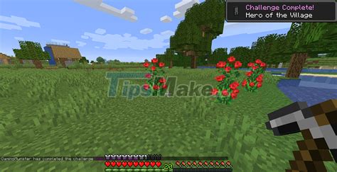 10 things you need to know about Raid in Minecraft - TipsMake.com