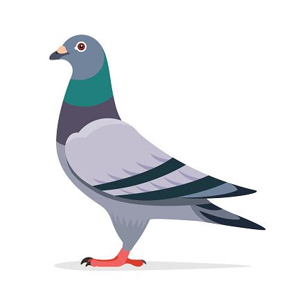 Pigeonry clipart - Clipground