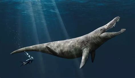 Giants of the Jurassic seas were twice the size of a killer whale, says ...