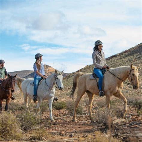 HORSEBACK SAFARI - AQUILA GAME RESERVE | Tours & Tickets SA