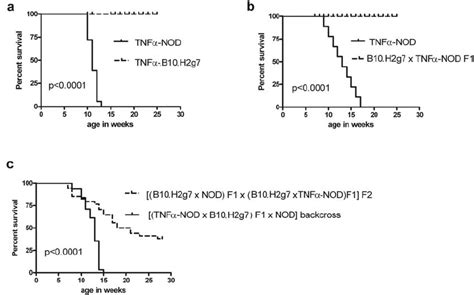 Recessive NOD alleles are a prerequisite for accelerated T1D in TNF ...