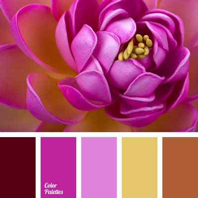 contrast lilac | Color Palette Ideas