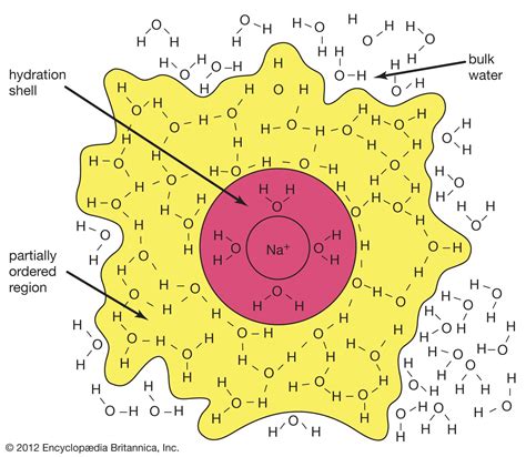 Hydration | chemistry | Britannica