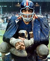 1961 NFL Championship Game