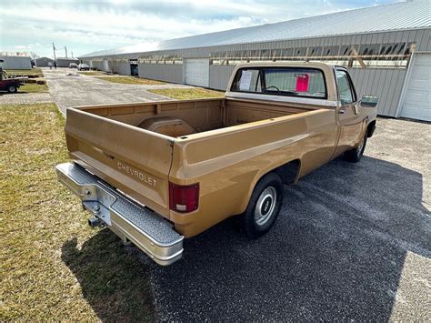 1985 Chevy C10 P/u Custom Deluxe - Used Chevrolet C-10 for sale in Staunton, Illinois | Search ...